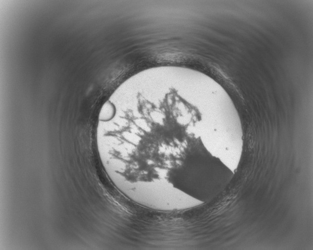 X0000058780637200510282012