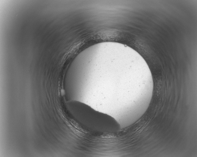 X0000058780644200510282012