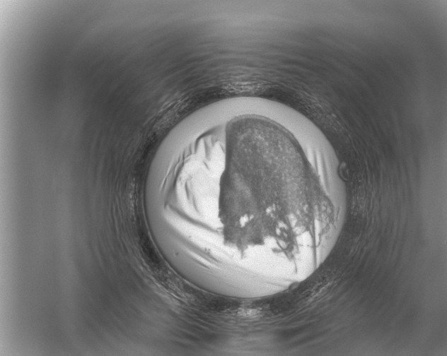 X0000058780647200510282012