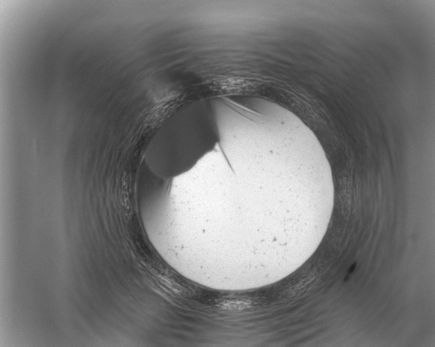 X0000058780653200510282012