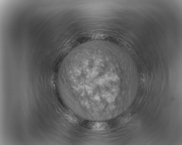 X0000058780663200510282012