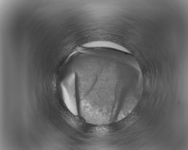 X0000058780668200510282012