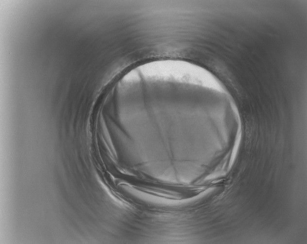 X0000058780674200510282012