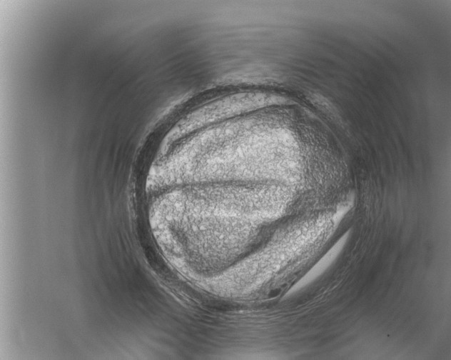 X0000058780680200510282011