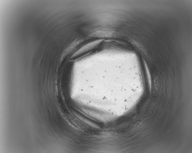 X0000058780682200510282011