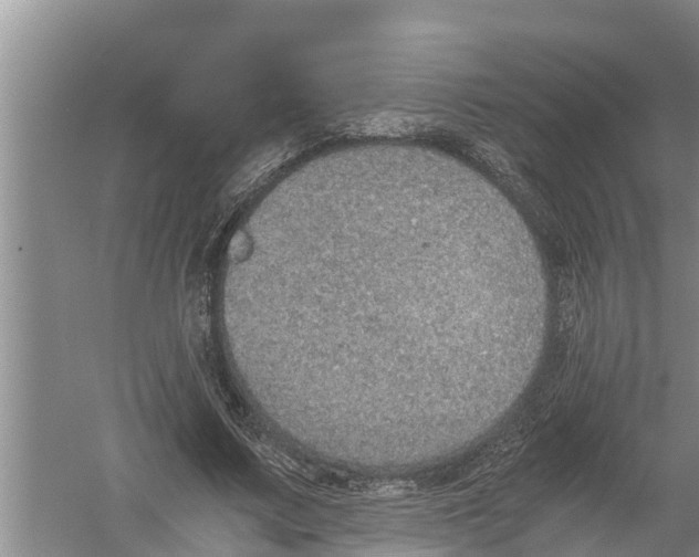 X0000058780683200510282011