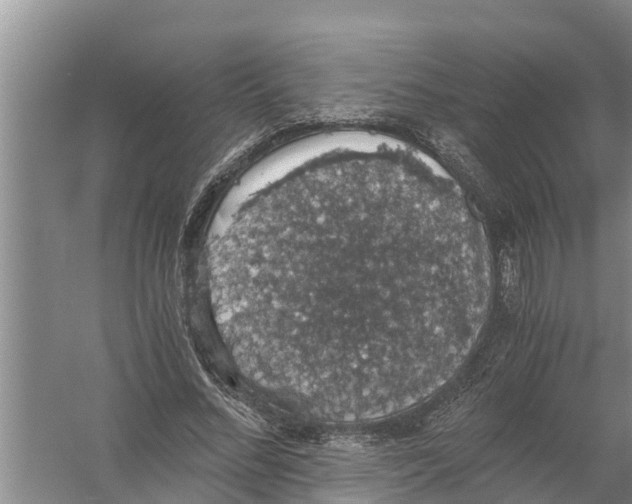 X0000058780684200510282011