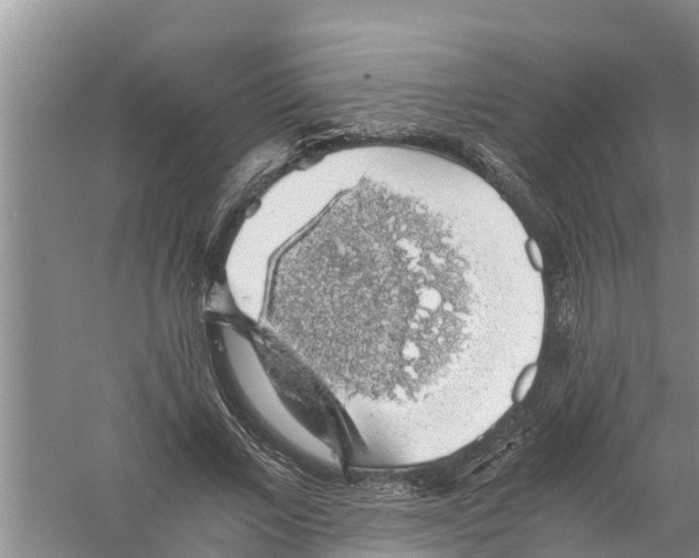 X0000058780685200510282011