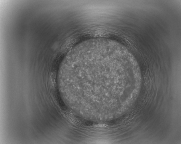 X0000058780695200510282011