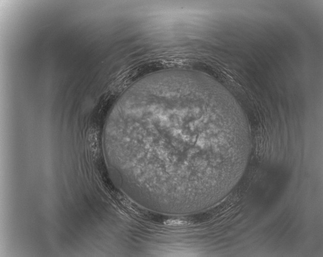 X0000058780699200510282011