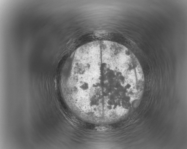 X0000058780703200510282011