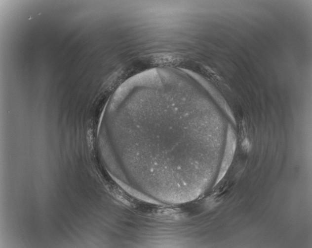 X0000058780716200510282011