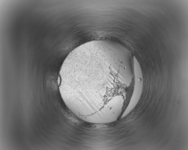 X0000058780719200510282011