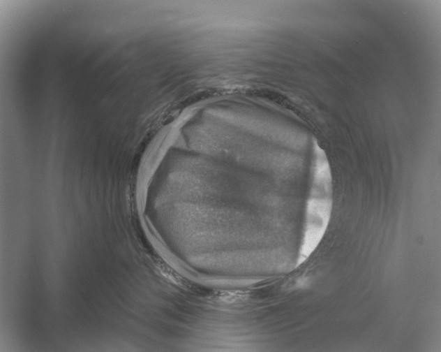 X0000058780720200510282011