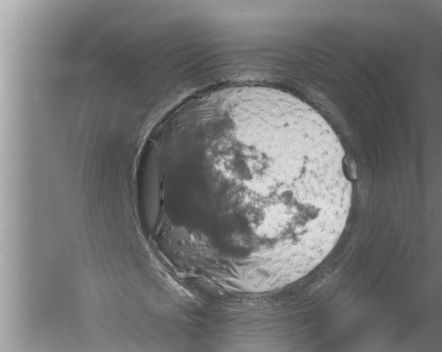 X0000058780721200510282010