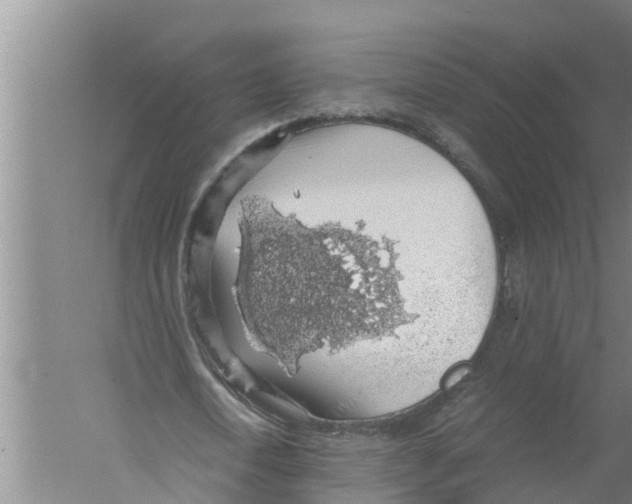 X0000058780722200510282010