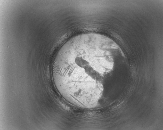 X0000058780729200510282010