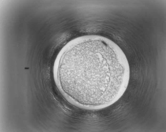 X0000058780735200510282010