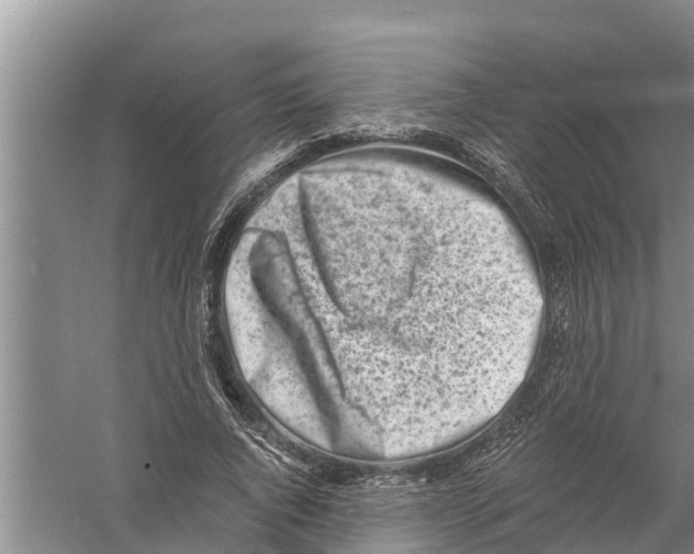 X0000058780736200510282010