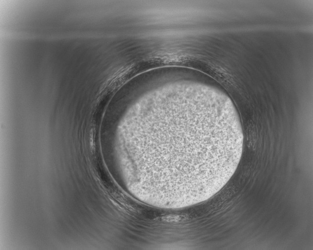 X0000058780740200510282010