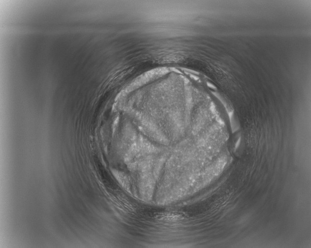 X0000058780743200510282010