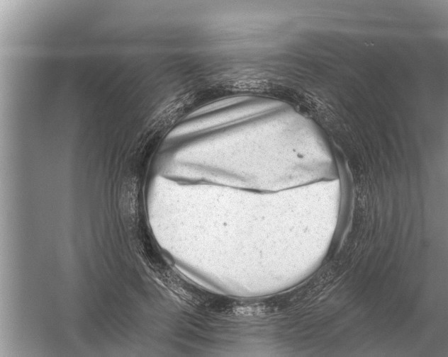 X0000058780744200510282010