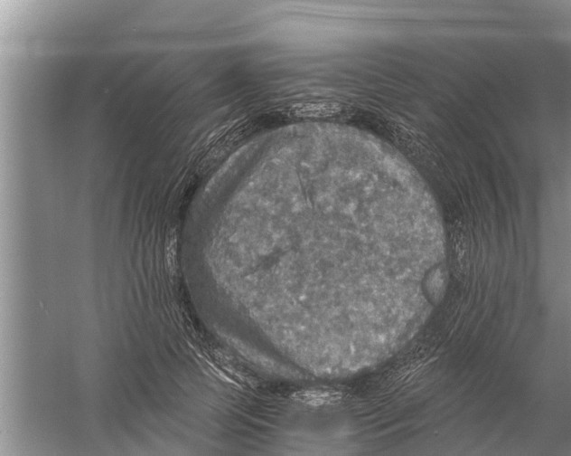 X0000058780745200510282010