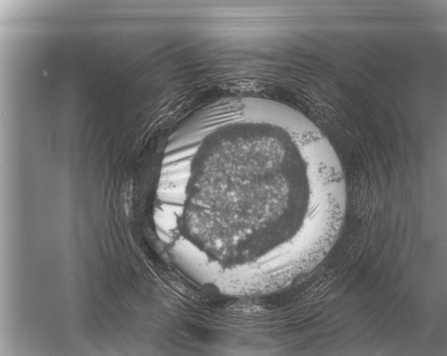 X0000058780747200510282010