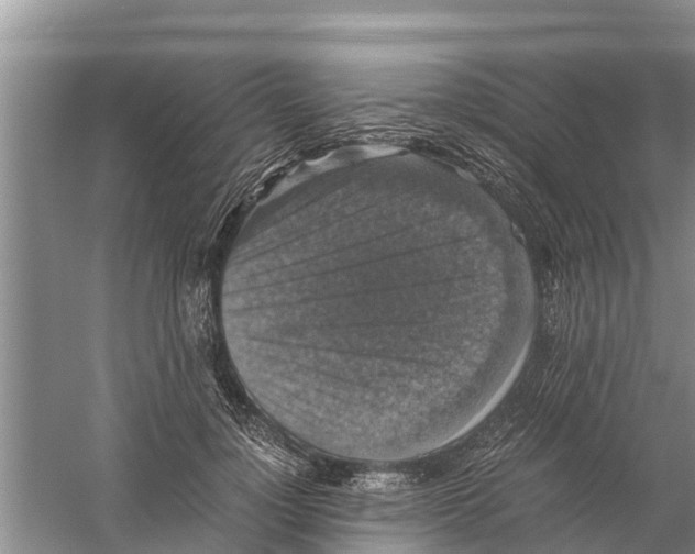 X0000058780748200510282010