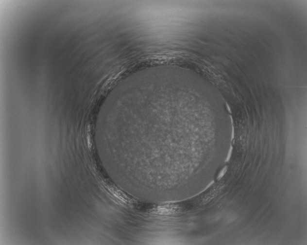 X0000058780758200510282011