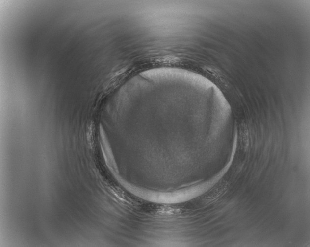 X0000058780760200510282011