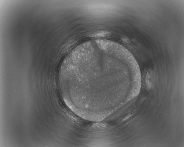 X0000058780762200510282011