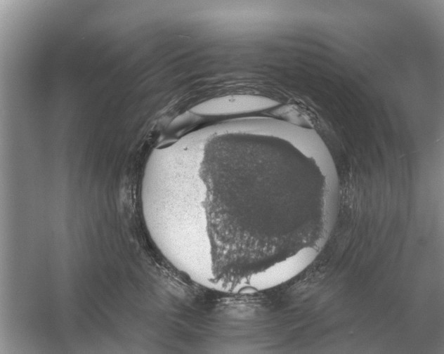 X0000058780763200510282011