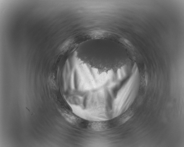 X0000058780766200510282011