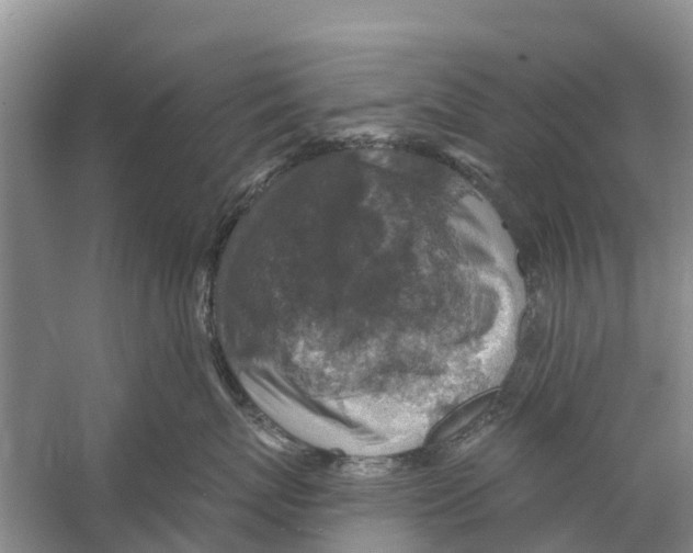 X0000058780767200510282011