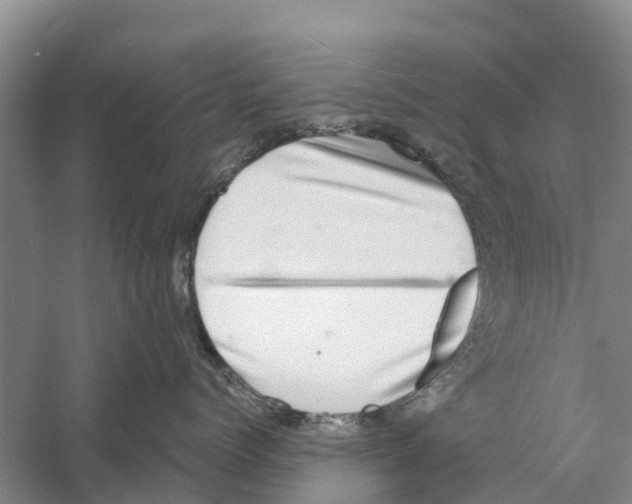 X0000058780768200510282011