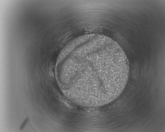 X0000058780770200510282010