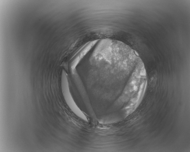 X0000058780772200510282010