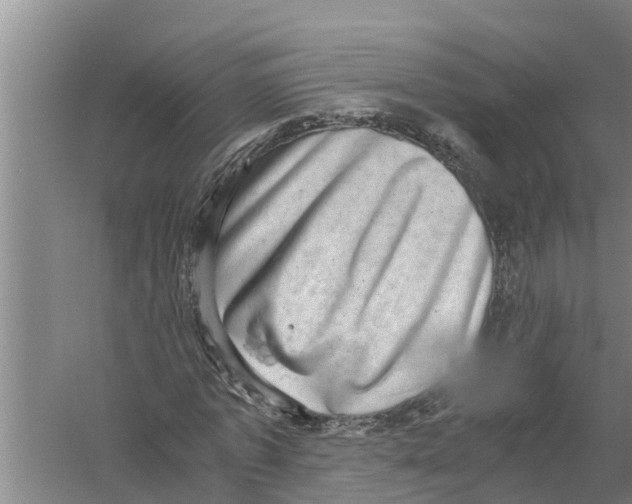 X0000058780773200510282010