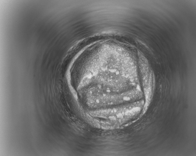 X0000058780776200510282010