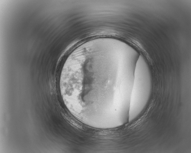 X0000058780780200510282010