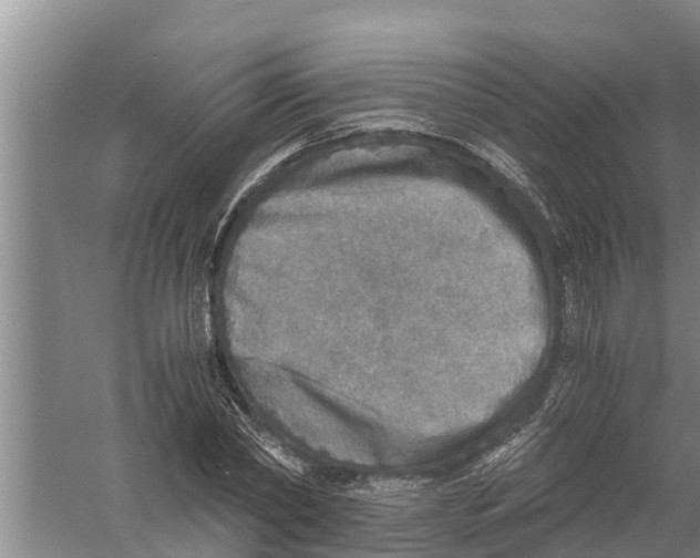 X0000058780782200510282010