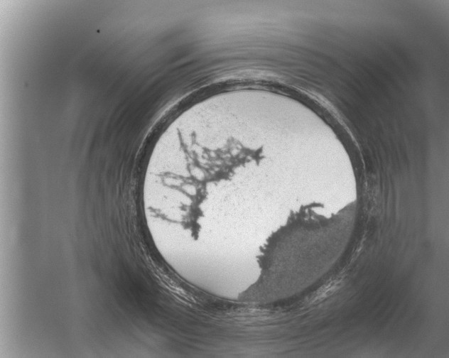 X0000058780783200510282010