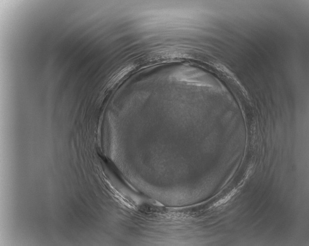 X0000058780785200510282010