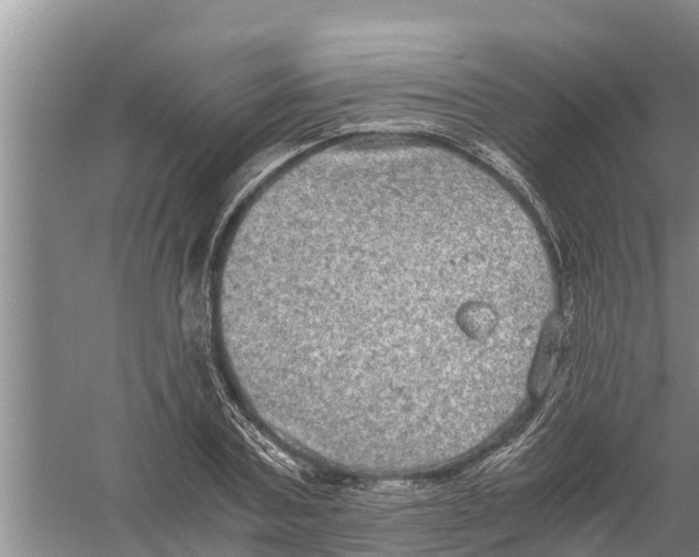 X0000058780787200510282010