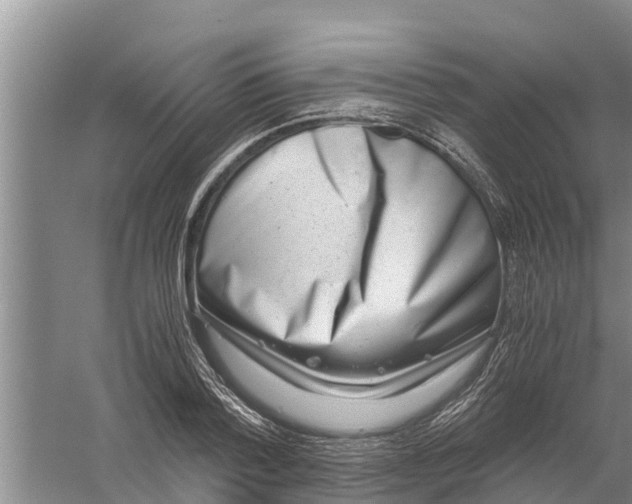 X0000058780788200510282010