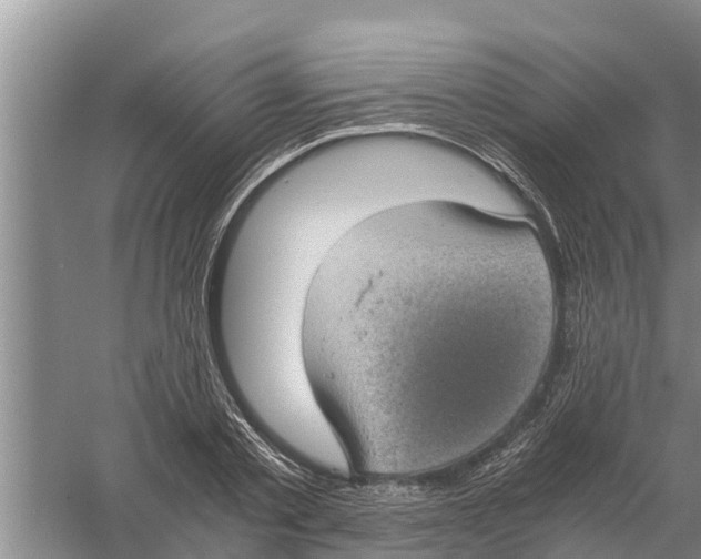 X0000058780789200510282010