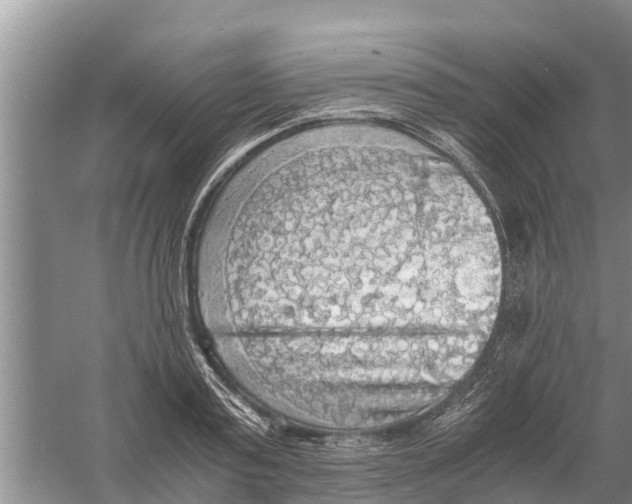 X0000058780795200510282009