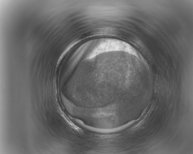 X0000058780796200510282009