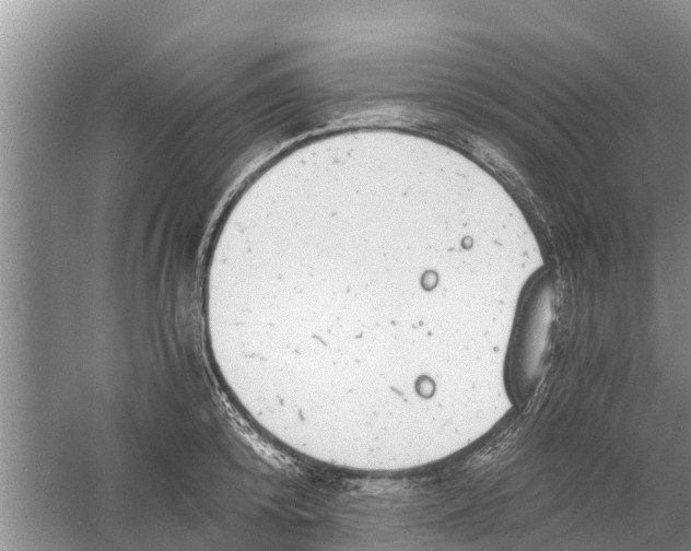 X0000058780800200510282009